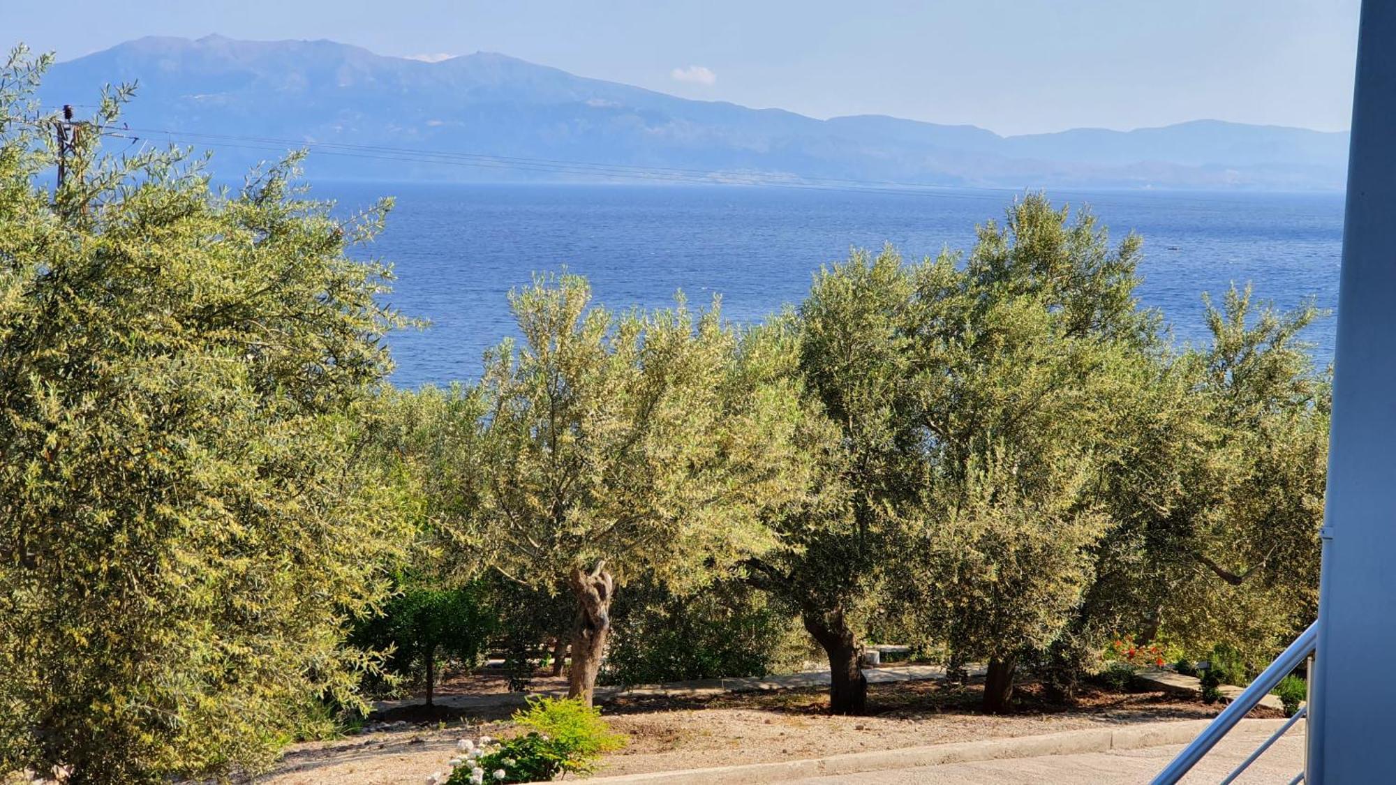 Assos Nazan Motel Restoran Beach Sokakagzi Pokoj fotografie