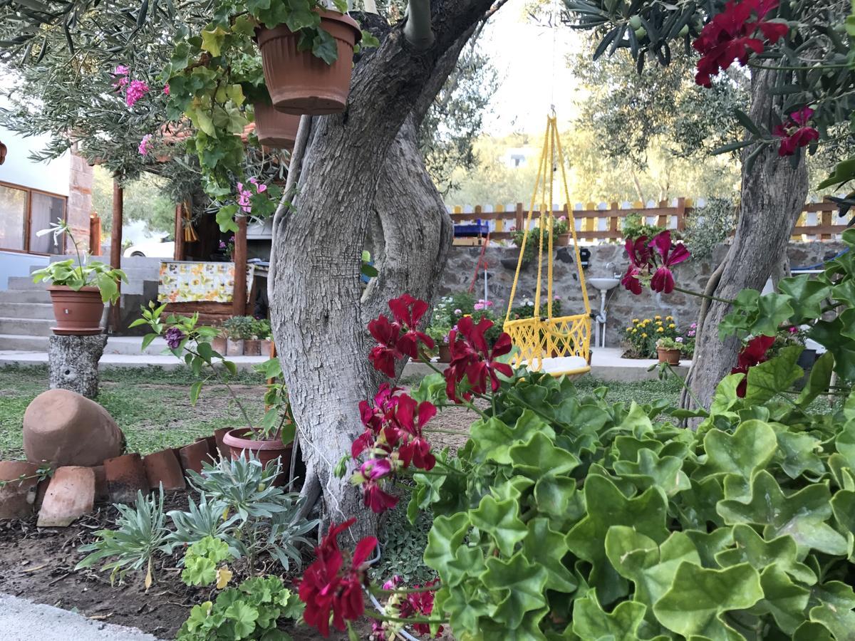 Assos Nazan Motel Restoran Beach Sokakagzi Exteriér fotografie