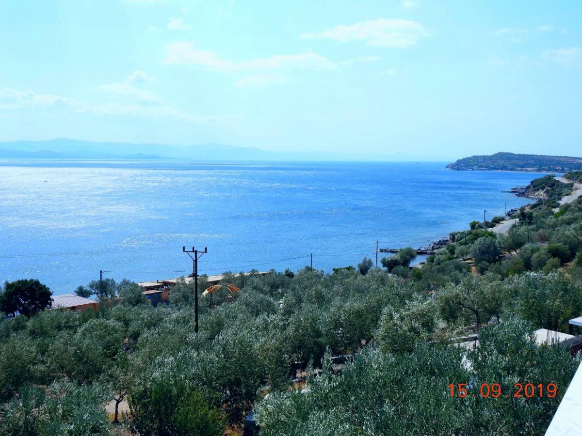 Assos Nazan Motel Restoran Beach Sokakagzi Exteriér fotografie
