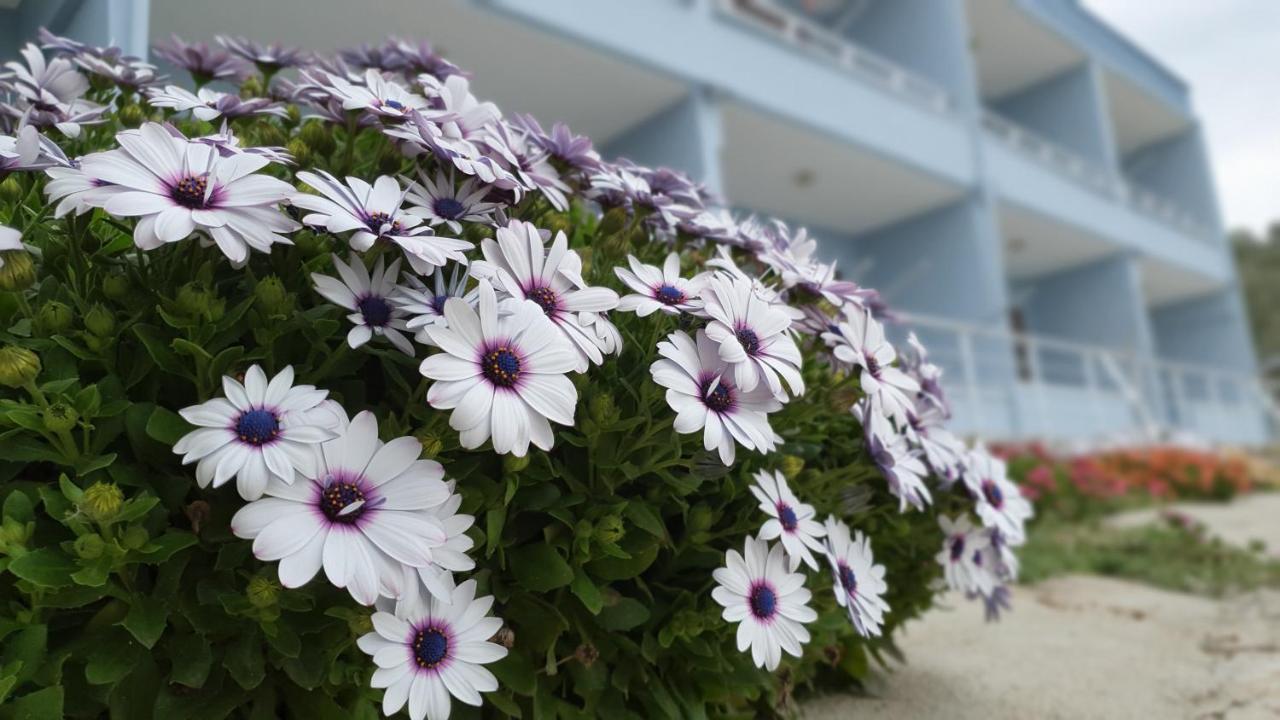 Assos Nazan Motel Restoran Beach Sokakagzi Exteriér fotografie